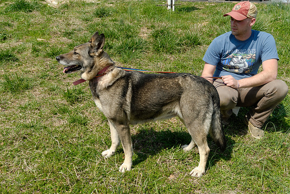 2011-03-21--B74-J