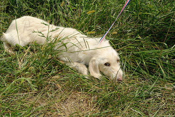2011-08-02-R287-B