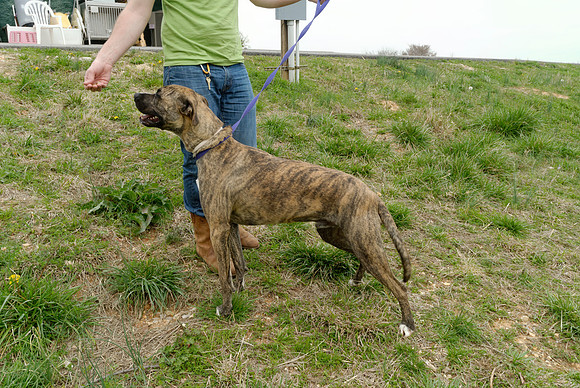 2011-03-22-R180-A