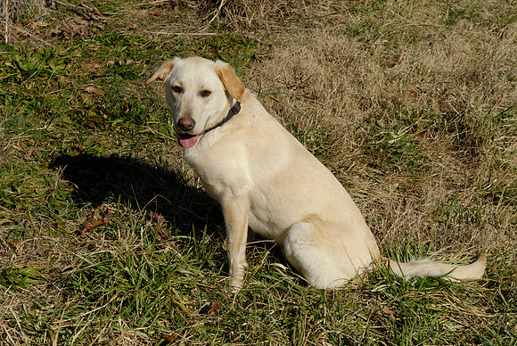 2011-02-08-B38-H