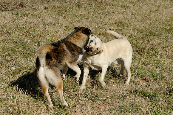 2011-02-08-B16-G
