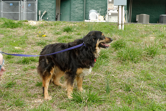 2011-03-22-R93-K