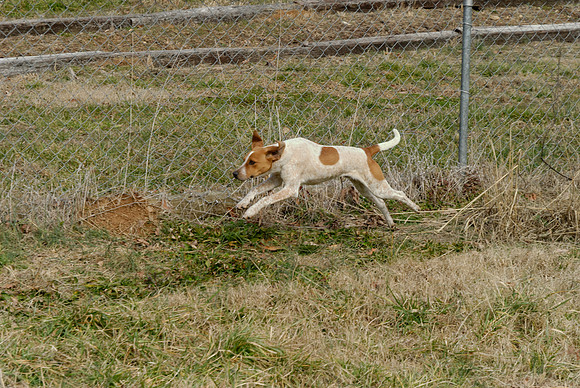 2011-02-02-0039
