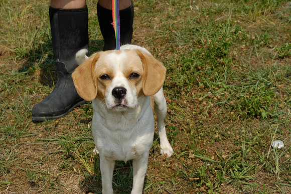 2011-06-10-B37-B