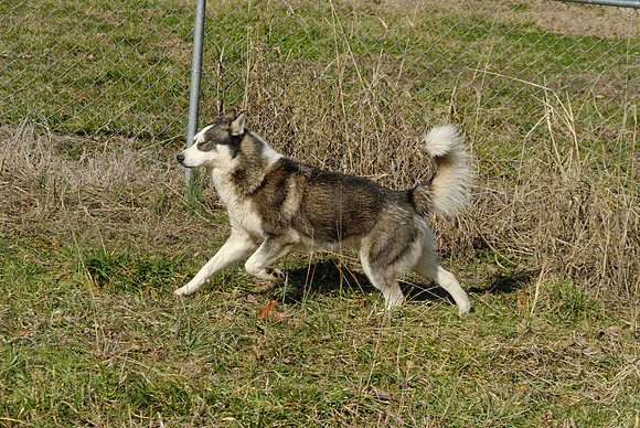 2011-02-02-0148