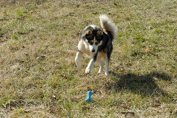 2011-02-02-0159