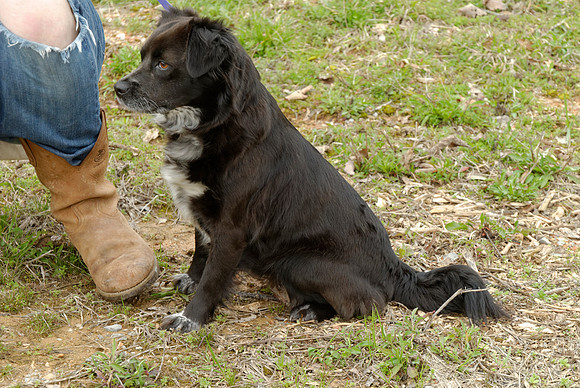 2011-03-22-R64-G