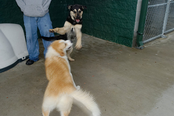 2011-01-13-013