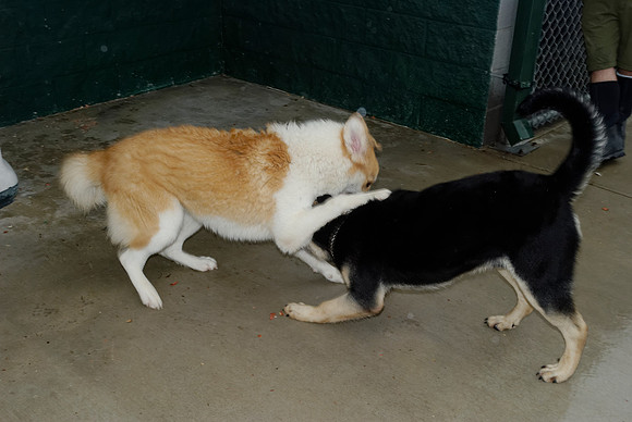 2011-01-13-007