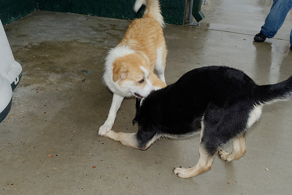 2011-01-13-010