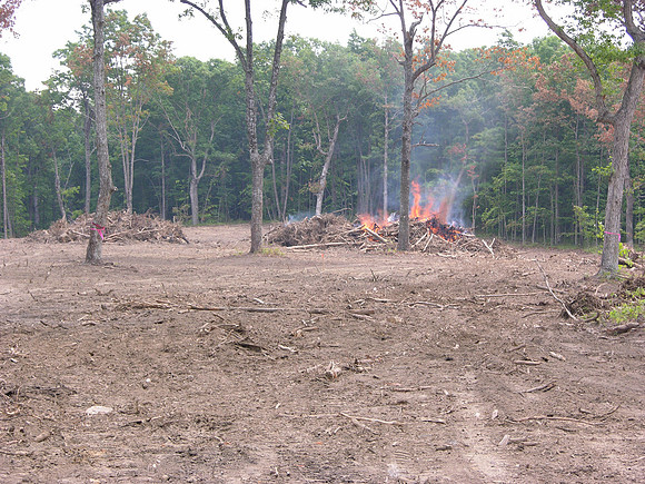 DSCN0041