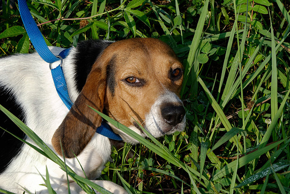 2011-07-26-R213-F
