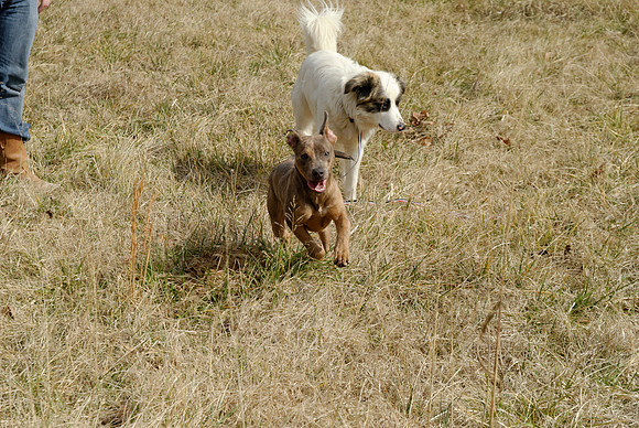 2011-02-02-0012