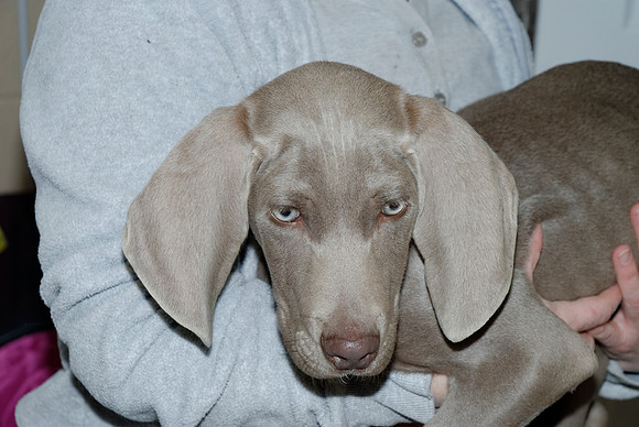 2010-12-09-0143