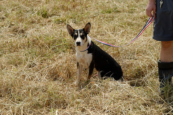 2011-08-30-R 152-G