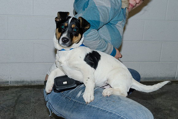 2011-01-25-R141-L
