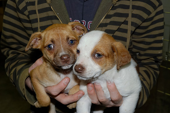 2011-02-08-R70,72,73-D