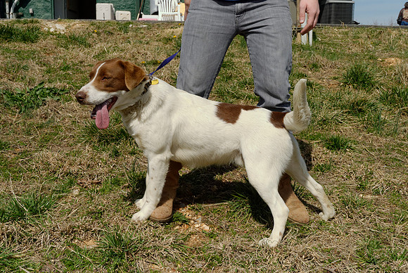 2011-03-22--R4-H