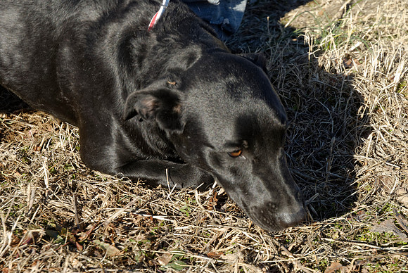 2011-02-08-R91-B