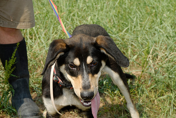 2011-06-10-B36-C