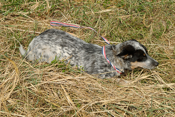 2011-08-30-R 180-B