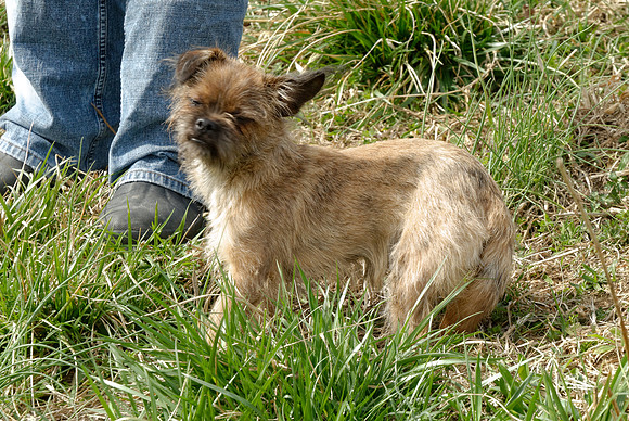 2011-03-22--R219-E