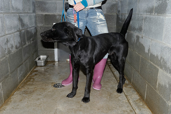 2011-01-25-B122-D
