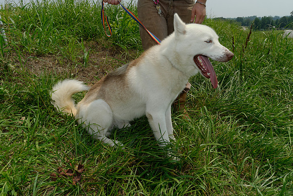 2011-07-04--R257-I