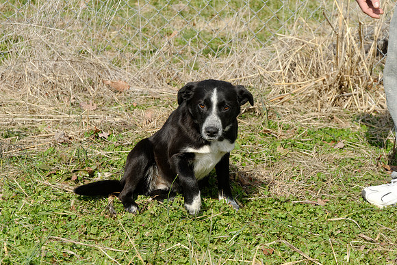 2011-02-02-0099