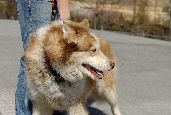 2011-03-22--R9-C