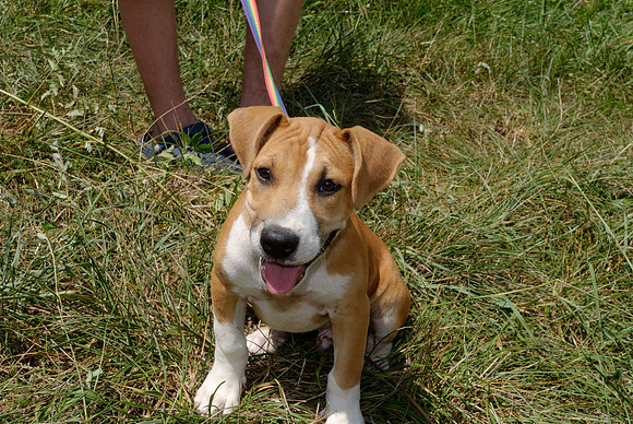 2011-07-29-R230-F