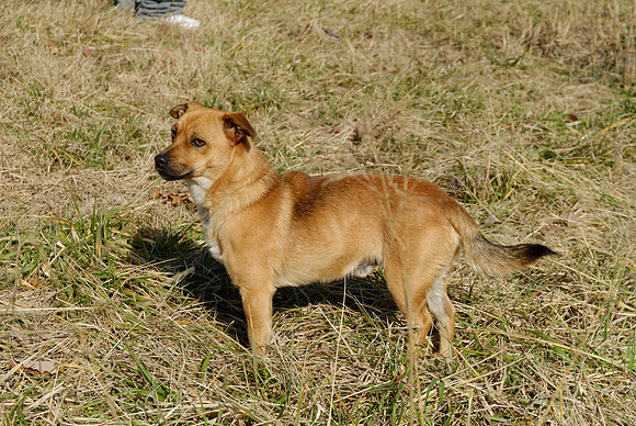 2011-02-02-0117