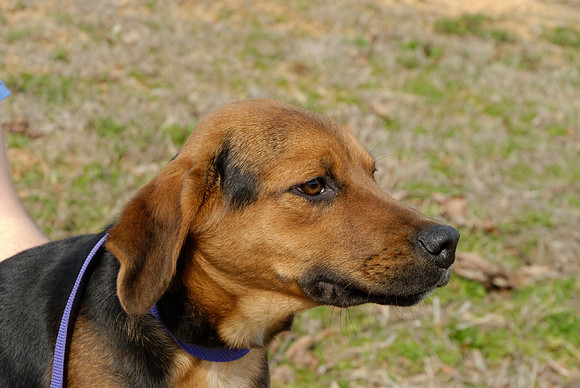2011-03-22--B108-G