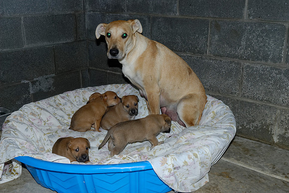 2011-02-08-R94,97,98,99,100,101-H