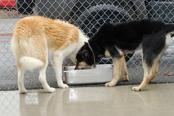 2011-01-13-022