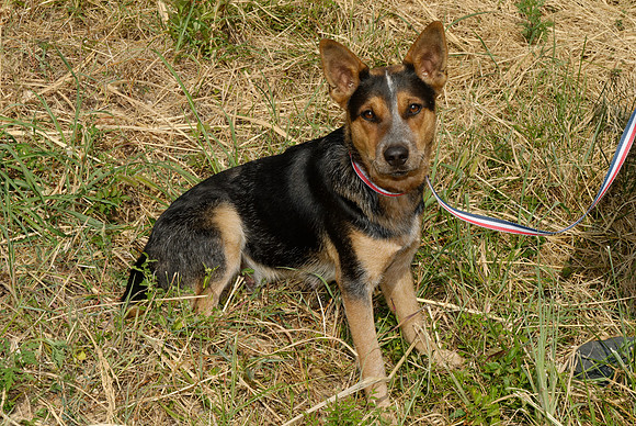 2011-08-30-R 179-E