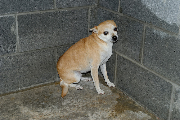2011-01-12-0099