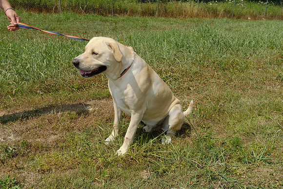 2011-06-10-B12-B