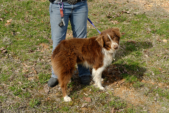 2011-03-22--B105-C